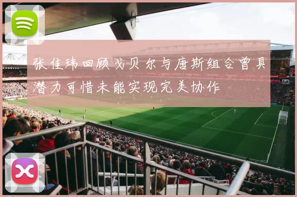 张佳玮回顾戈贝尔与唐斯组合曾具潜力可惜未能实现完美协作