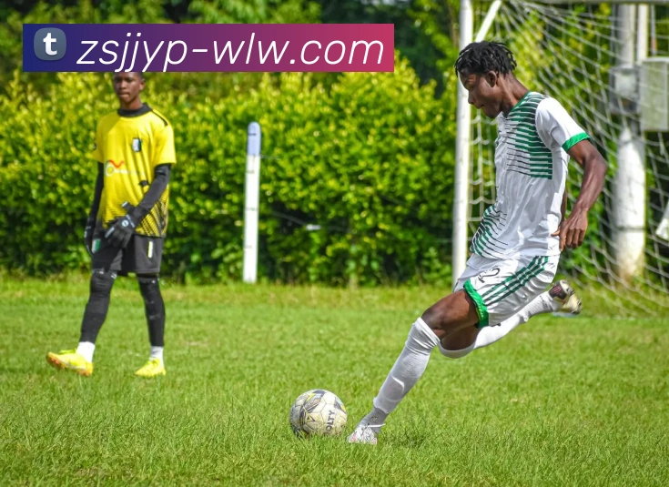 米兰平台生态图